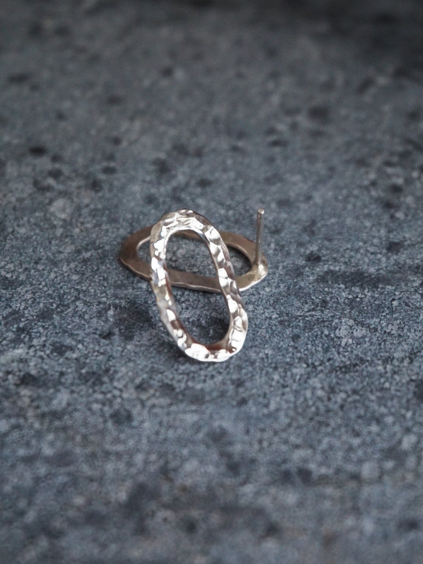 Oblong Earrings—Polished