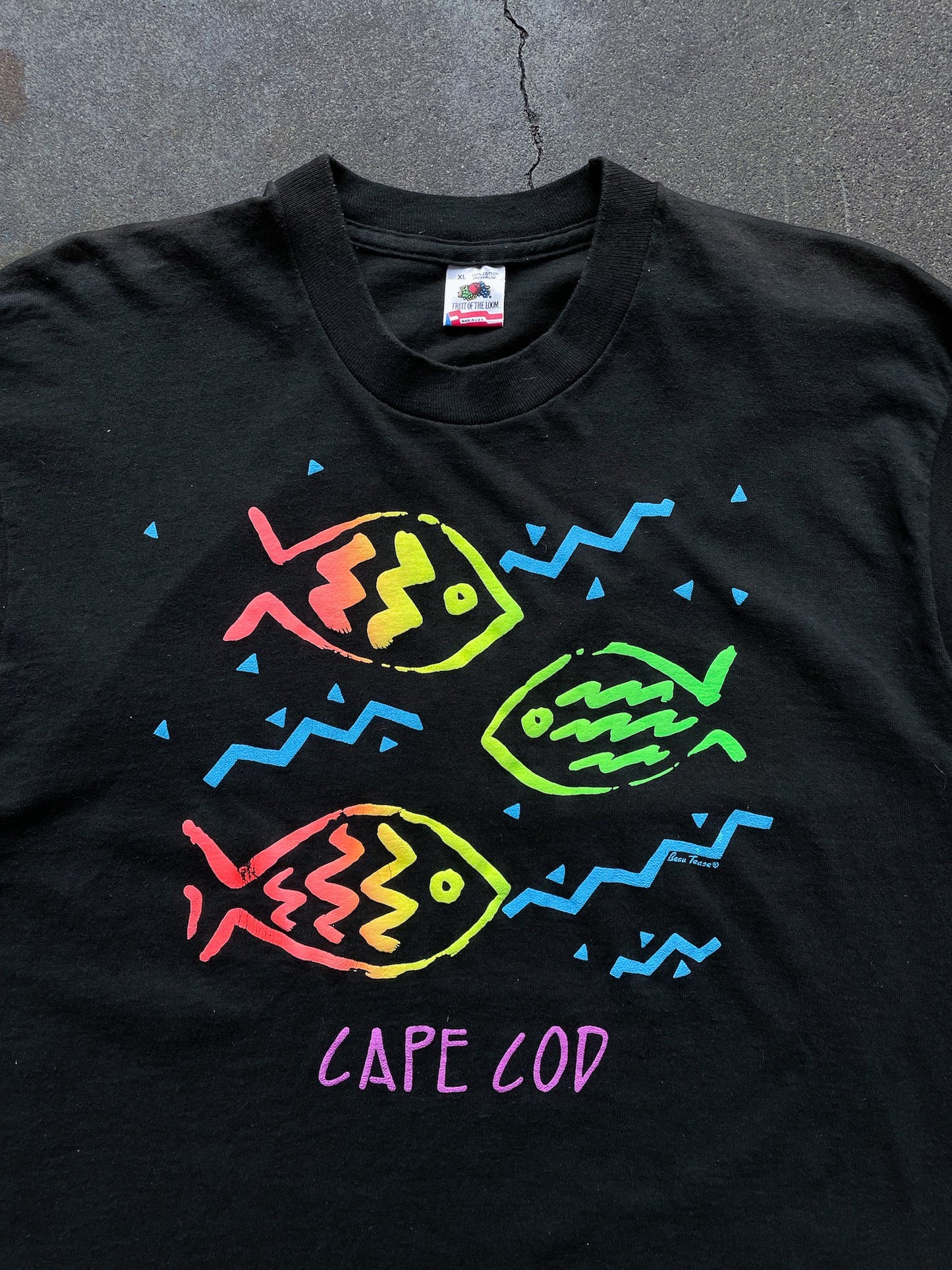 90’s Cape Cod Fish T-Shirt—[M/L]