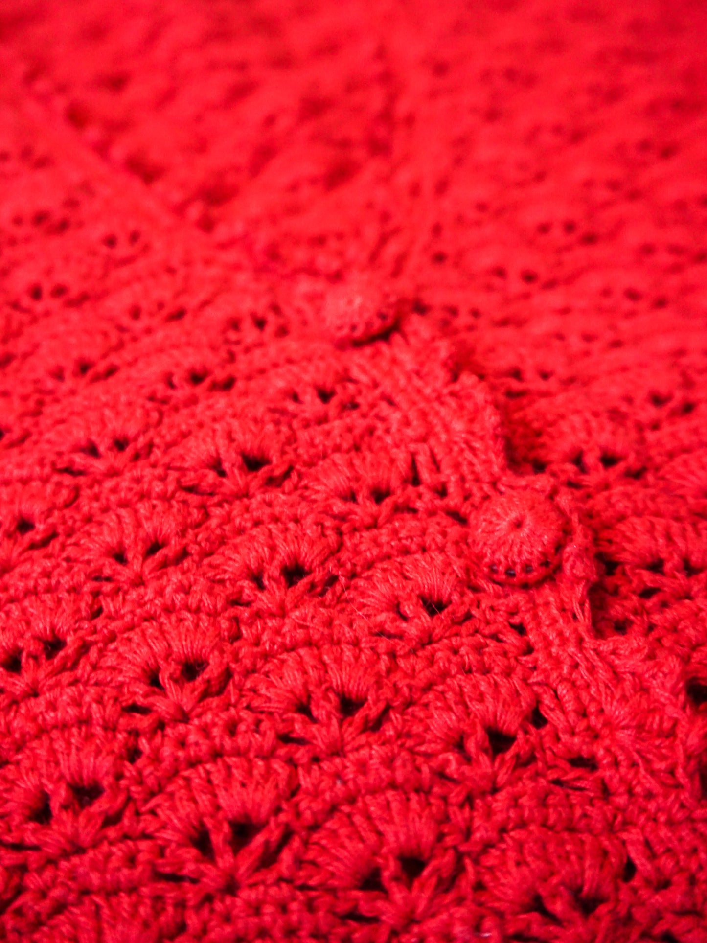 Liz Sport Crocheted Vest—[M]