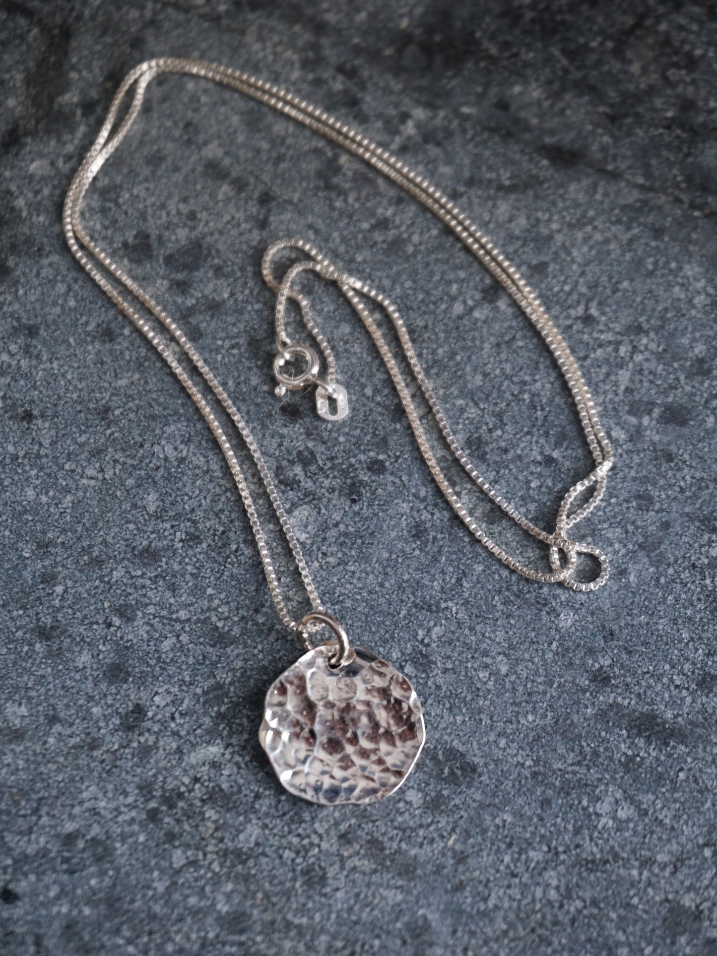Coin Necklace—Polished