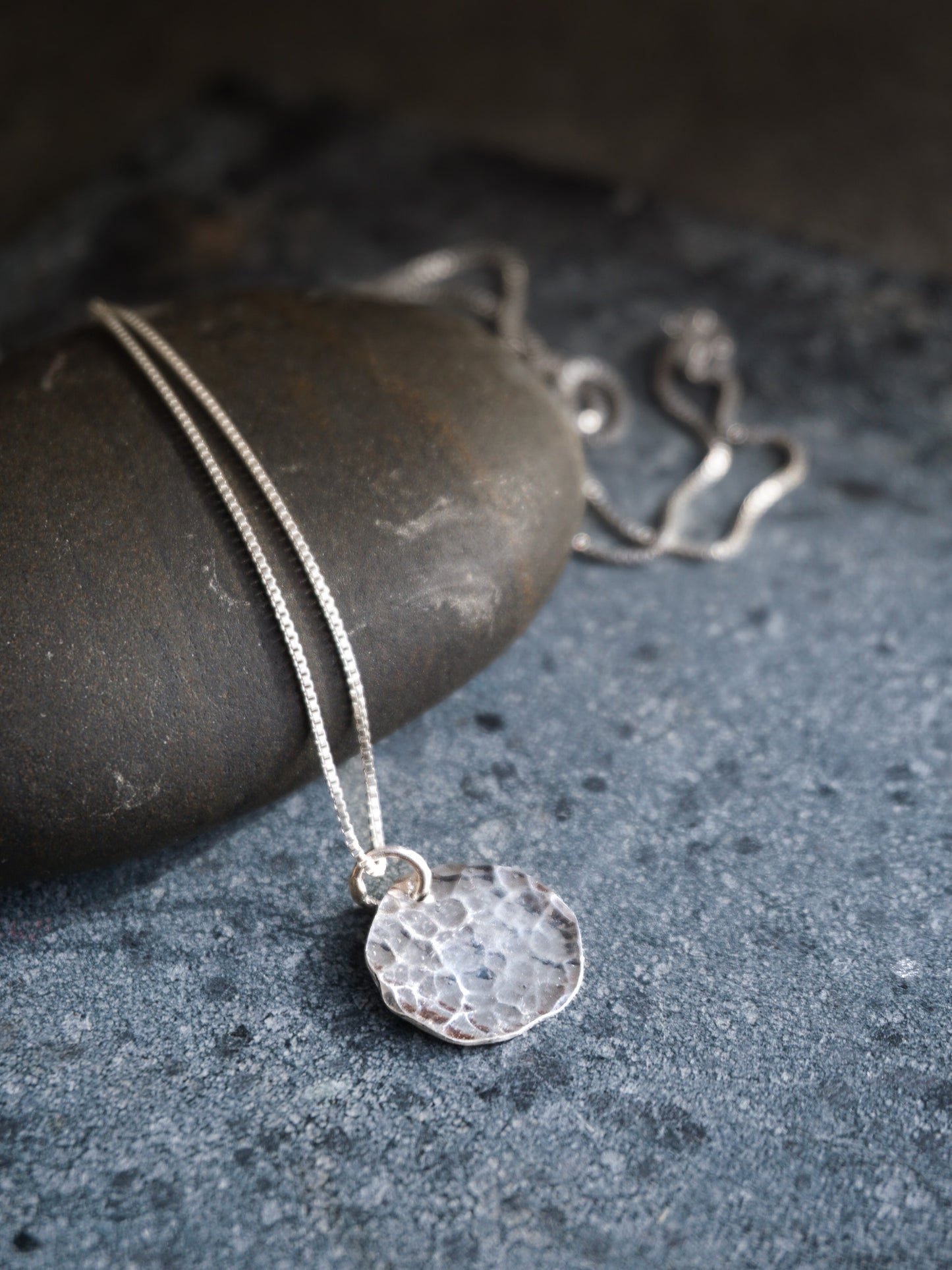 Coin Necklace—Polished
