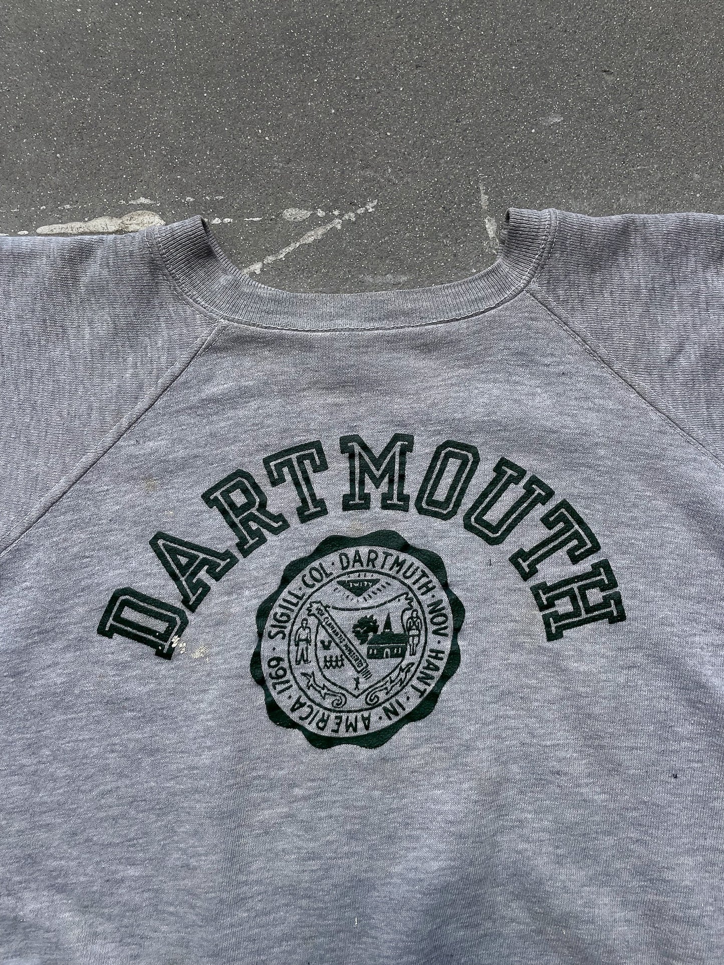 80's Dartmouth College Champion Raglan Crewneck—[S]