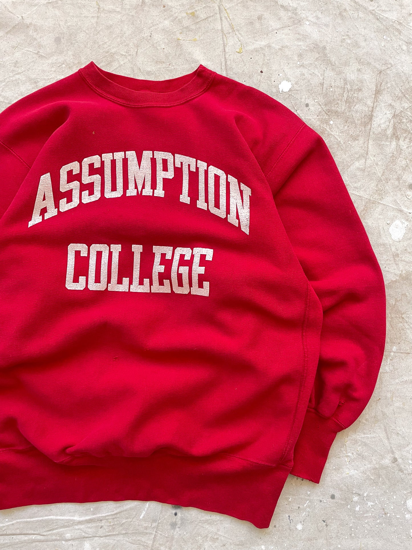 Assumption College Champion Reverse Weave Crewneck—[XL]