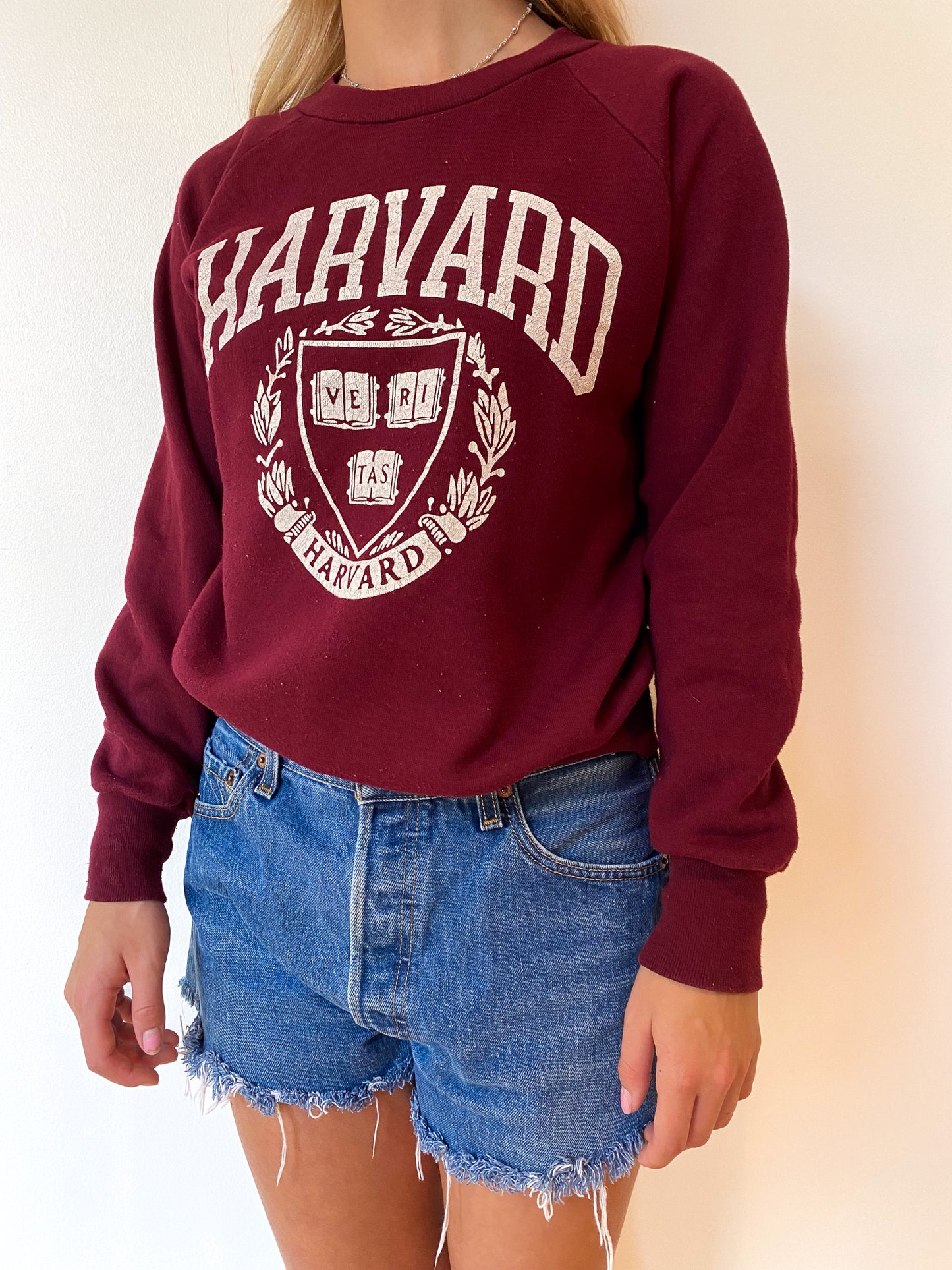 70's Harvard University Crewneck—[S]