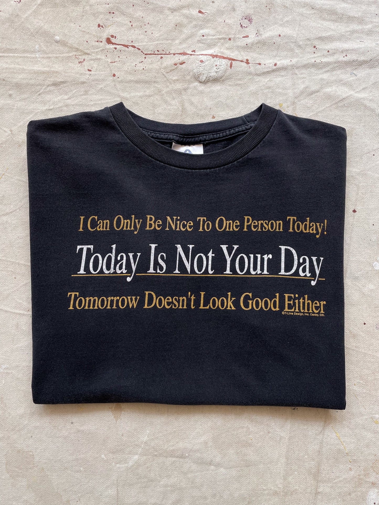 TODAY IS NOT YOUR DAY T-SHIRT—[M]